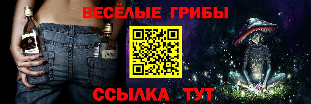 Сухой Лог  закладка  Вход с VPN  Галлюциногенные грибы прущие грибы 